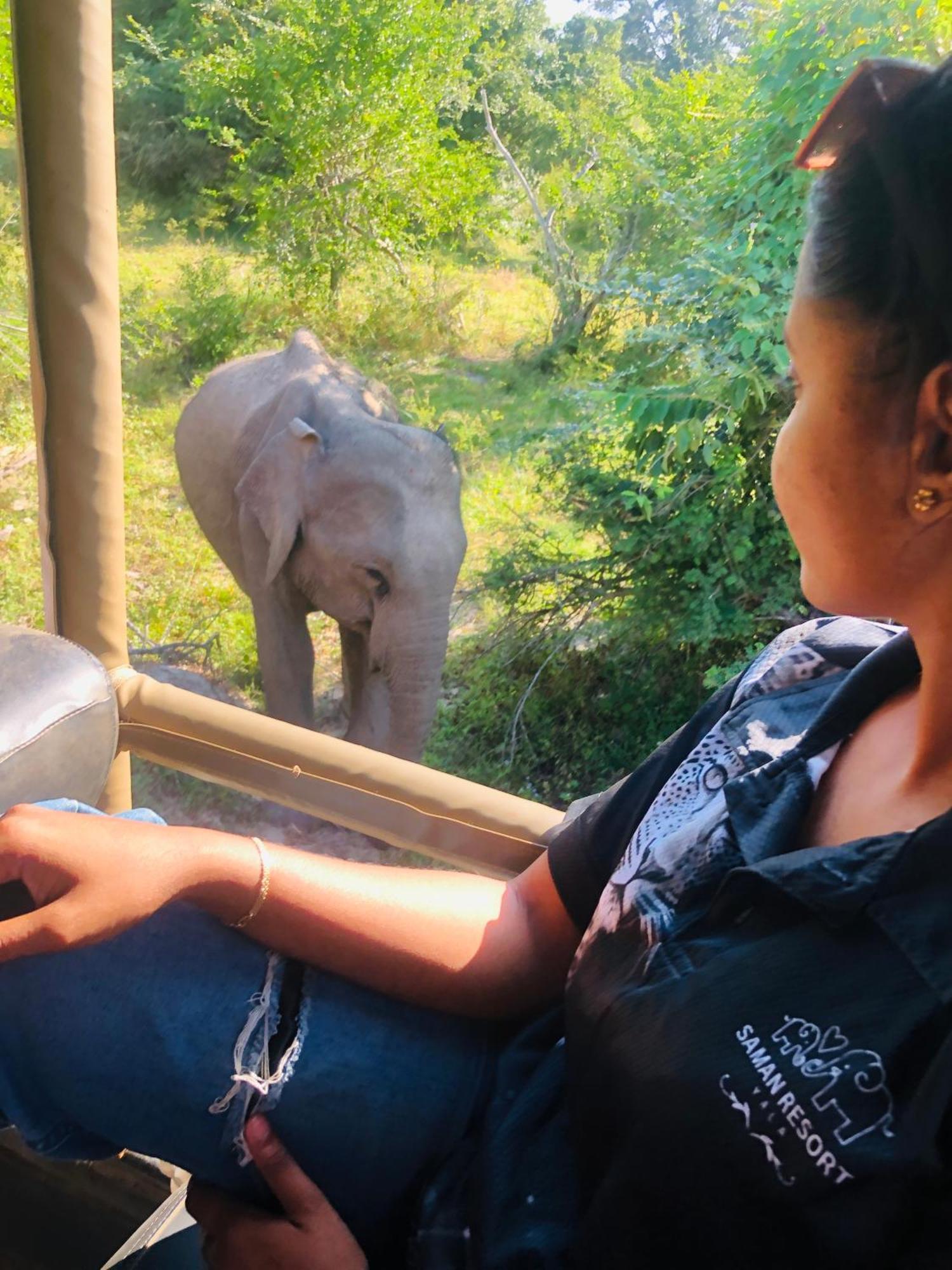 Saman Resort Yala Tissamaharama Kültér fotó