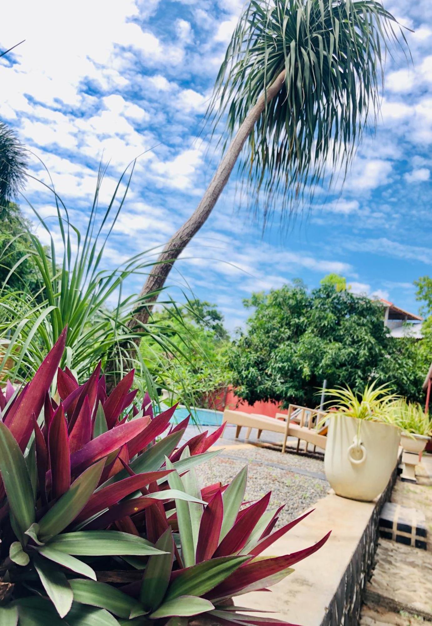 Saman Resort Yala Tissamaharama Kültér fotó