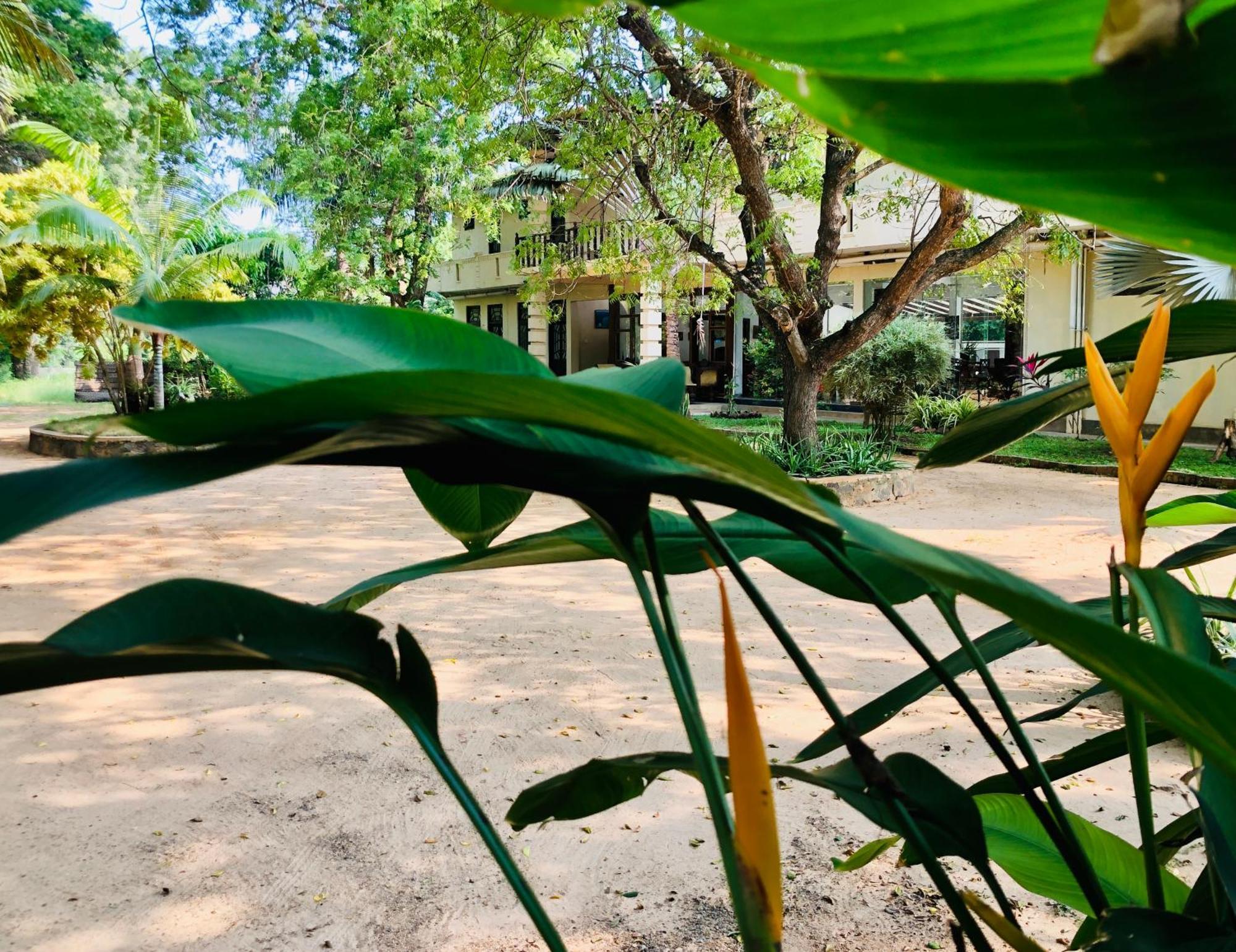 Saman Resort Yala Tissamaharama Kültér fotó